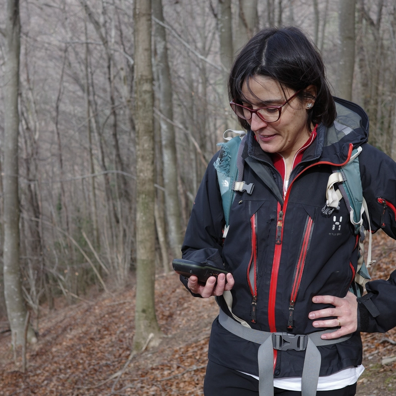 Teresa lost in the forest